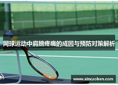网球运动中肩膀疼痛的成因与预防对策解析